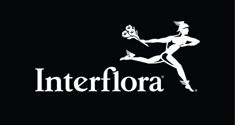 Setting up for a successful Christmas